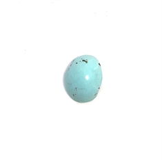 1.49ct Oval Turquoise Cabochon Loose Gemstone 8x6mm