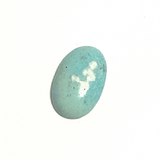 7.89ct Cabochon Turquoise Oval Loose Gemstone 19x12mm