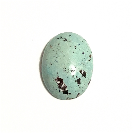 7.52ct Natural Turquoise Oval Cabochon