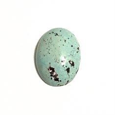 7.52ct Natural Turquoise Oval Cabochon
